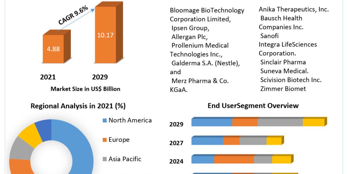 "Top Players in the Global Facial Injectables Market: Innovations and Competition"